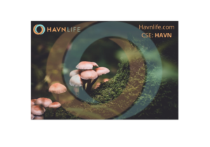 Spore Acquisition Gives Havn Life Sciences An Industry-Leading Revenue Profile