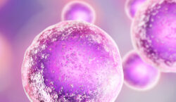 Lisata Therapeutics Partners with Catalent on ADC Technology