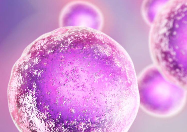 Lisata Therapeutics Partners with Catalent on ADC Technology