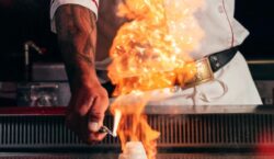 The ONE Group Hospitality: Lighting Up the Holidays – Quarterly Update Report