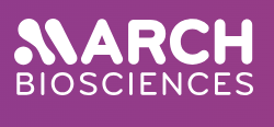 March Biosciences CAR-T Therapy Expectations and Phase 1 Experience