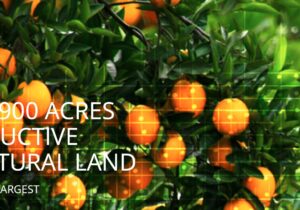 Alico Inc.: Land-centric Model Takes Hold and Earnings Jump – Quarterly Update Report