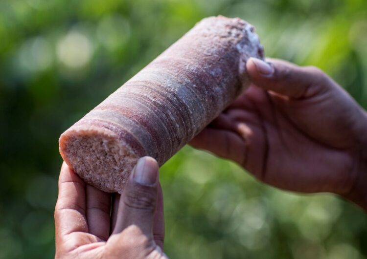 Brazil Potash Nears Construction Milestones, Eyes Funding Breakthrough – Quarterly Update Report