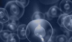 Inventiva Builds Up Leadership Team Ahead of Potential Commercialization