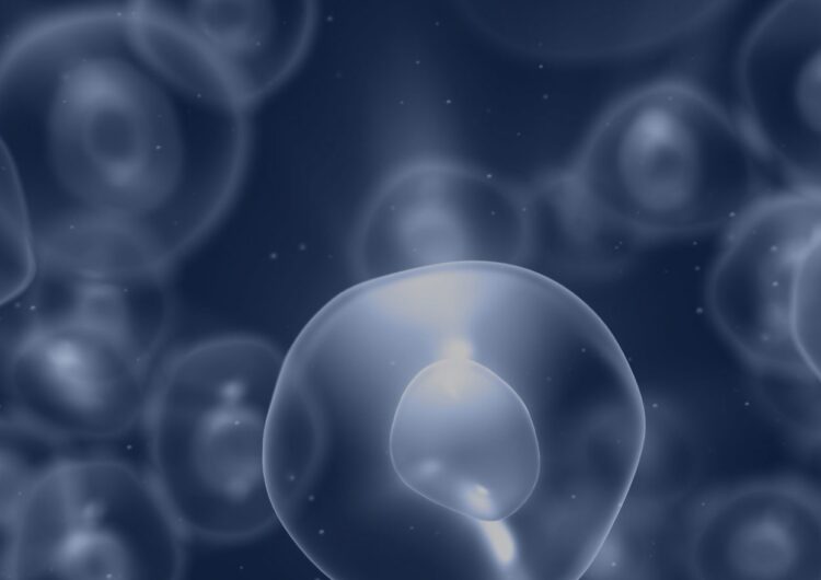 Inventiva Builds Up Leadership Team Ahead of Potential Commercialization