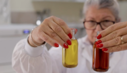 Beyond Oil: US Foodservice Adoption Drives Shift to Revenue Execution – Quarterly Update Report
