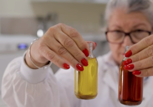 Beyond Oil: US Foodservice Adoption Drives Shift to Revenue Execution – Quarterly Update Report