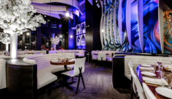 The ONE Group Q2 Operating Income Soars 30% Amid Expansion