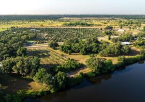 ALICO: Land Monetization Reinforces Post-Citrus Transformation – Quarterly Update Report