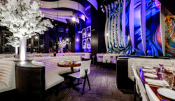 The ONE Group 2Q Operating Income Jumps on Vibe Dining Strength